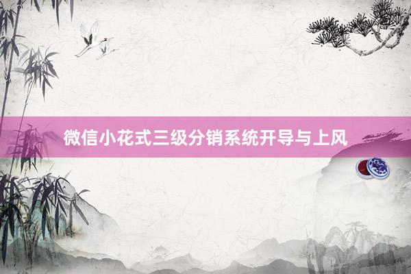 微信小花式三级分销系统开导与上风