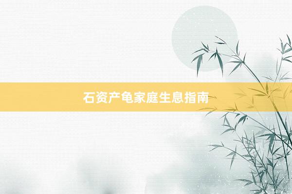 石资产龟家庭生息指南